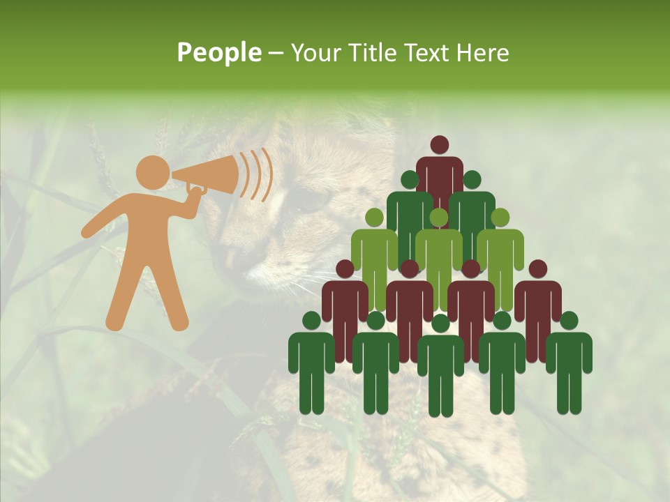 Felidae Green Leptailurus Serval PowerPoint Template