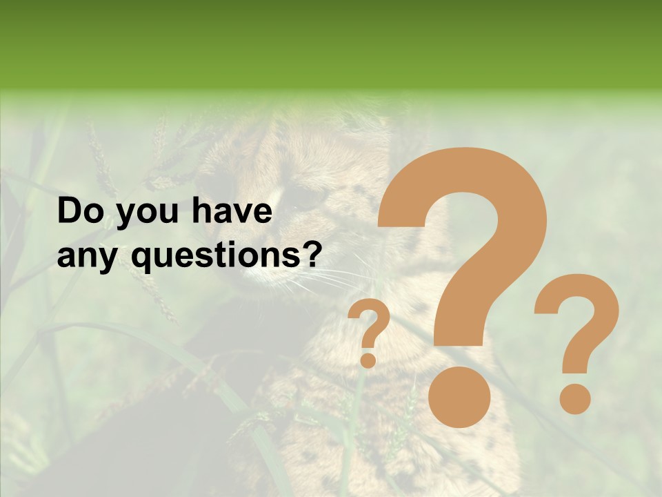 Felidae Green Leptailurus Serval PowerPoint Template