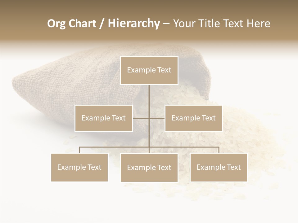 Cloth Macro Grain PowerPoint Template