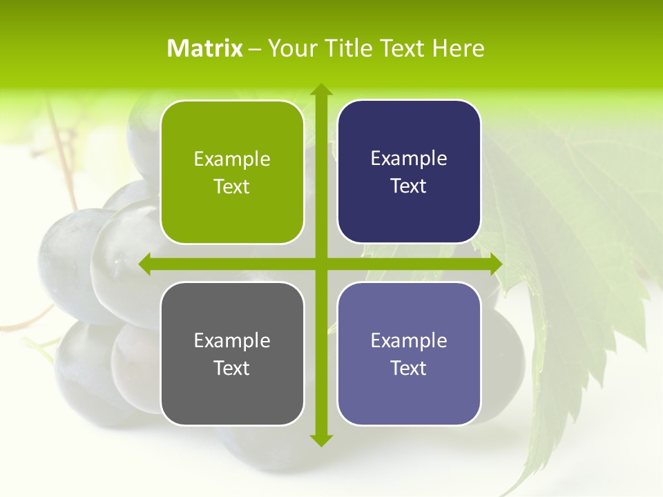 Wineyard Agriculture Close Up PowerPoint Template