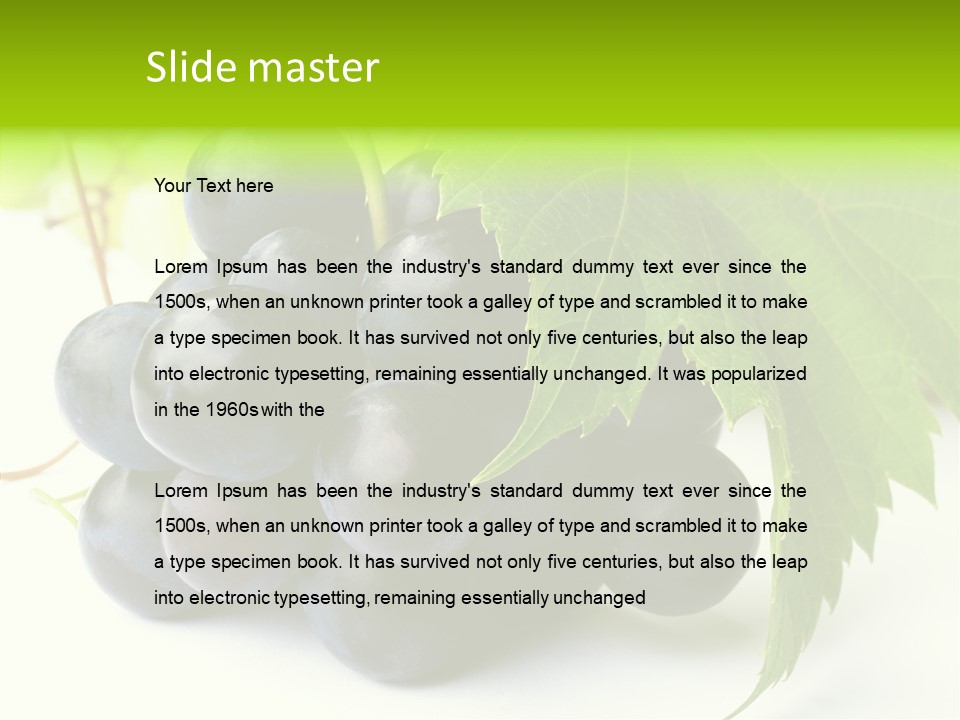 Wineyard Agriculture Close Up PowerPoint Template