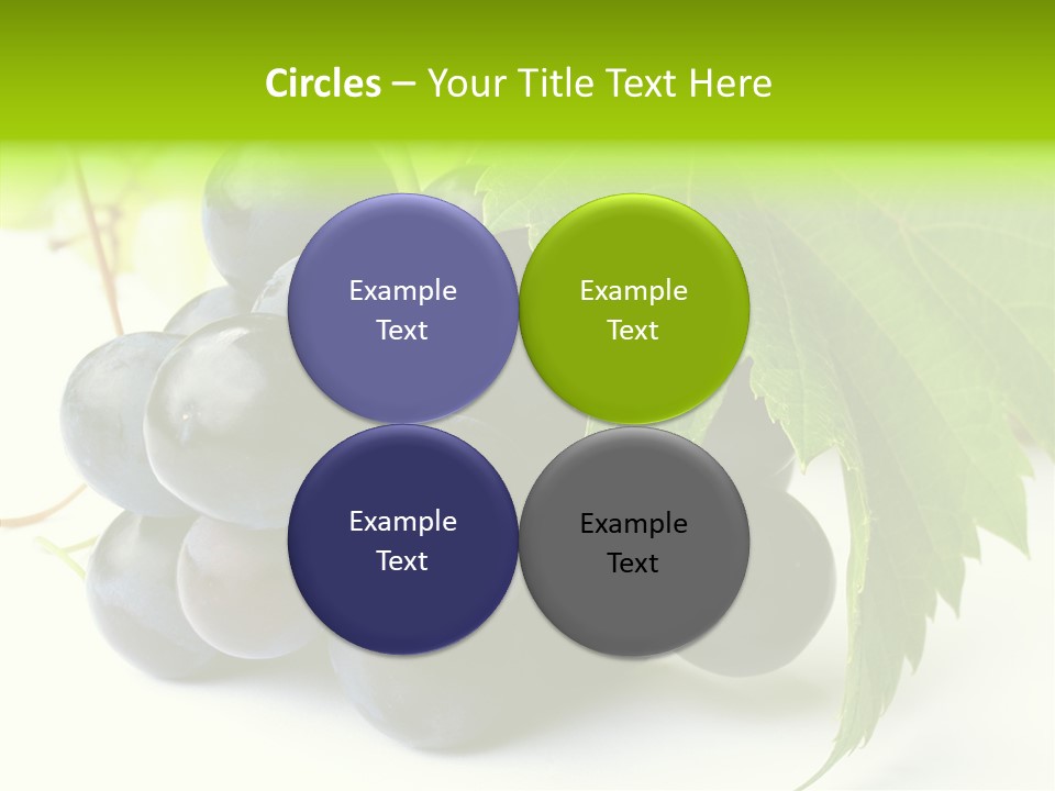 Wineyard Agriculture Close Up PowerPoint Template