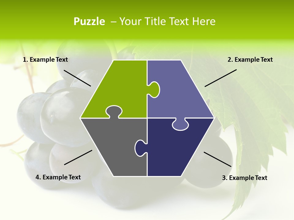 Wineyard Agriculture Close Up PowerPoint Template