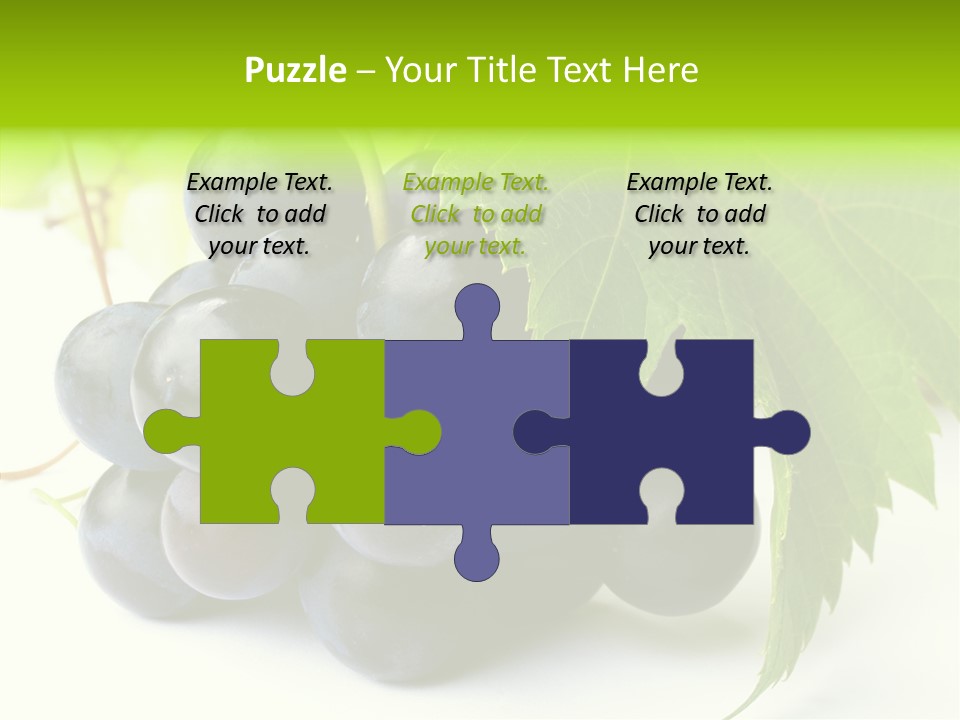 Wineyard Agriculture Close Up PowerPoint Template