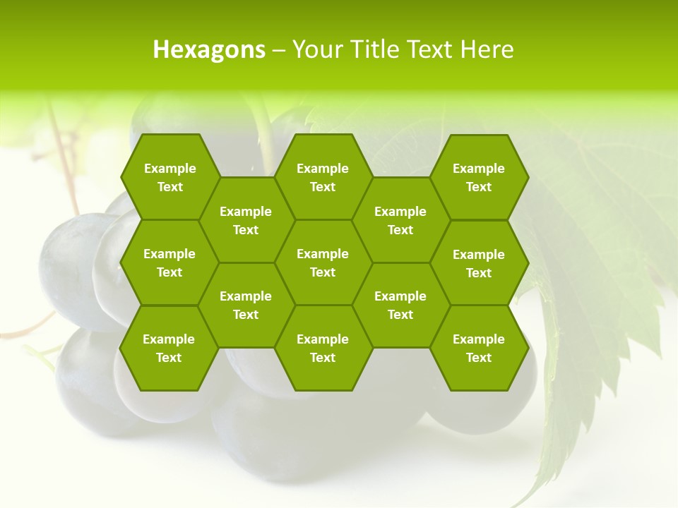 Wineyard Agriculture Close Up PowerPoint Template