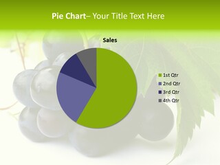 Wineyard Agriculture Close Up PowerPoint Template