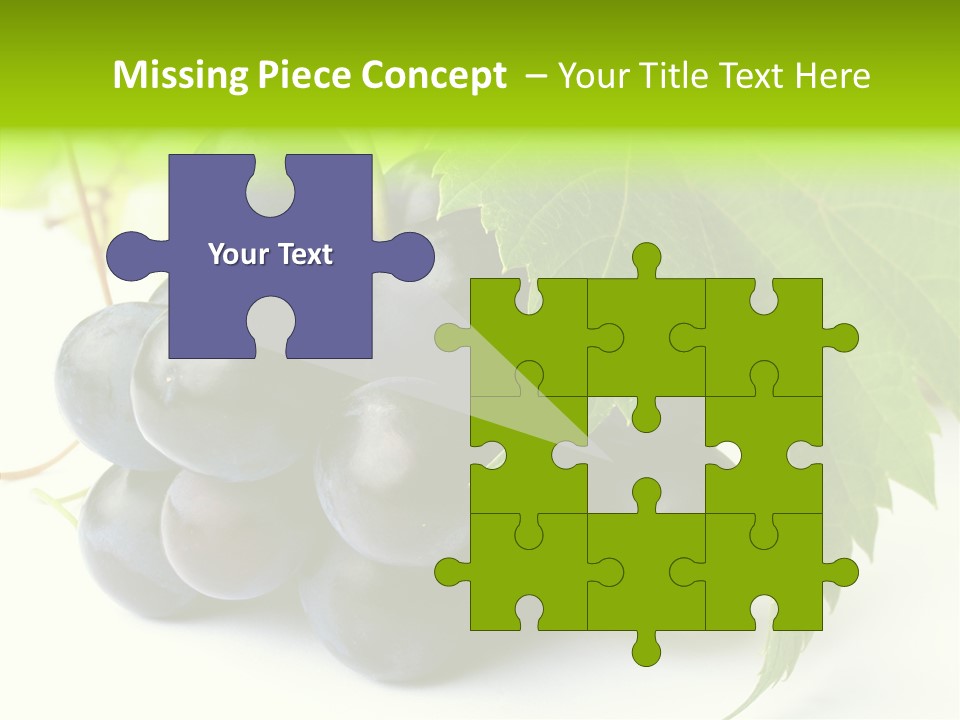 Wineyard Agriculture Close Up PowerPoint Template