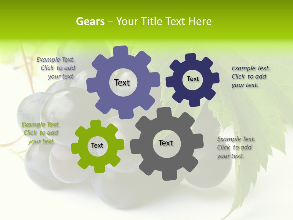 Wineyard Agriculture Close Up PowerPoint Template