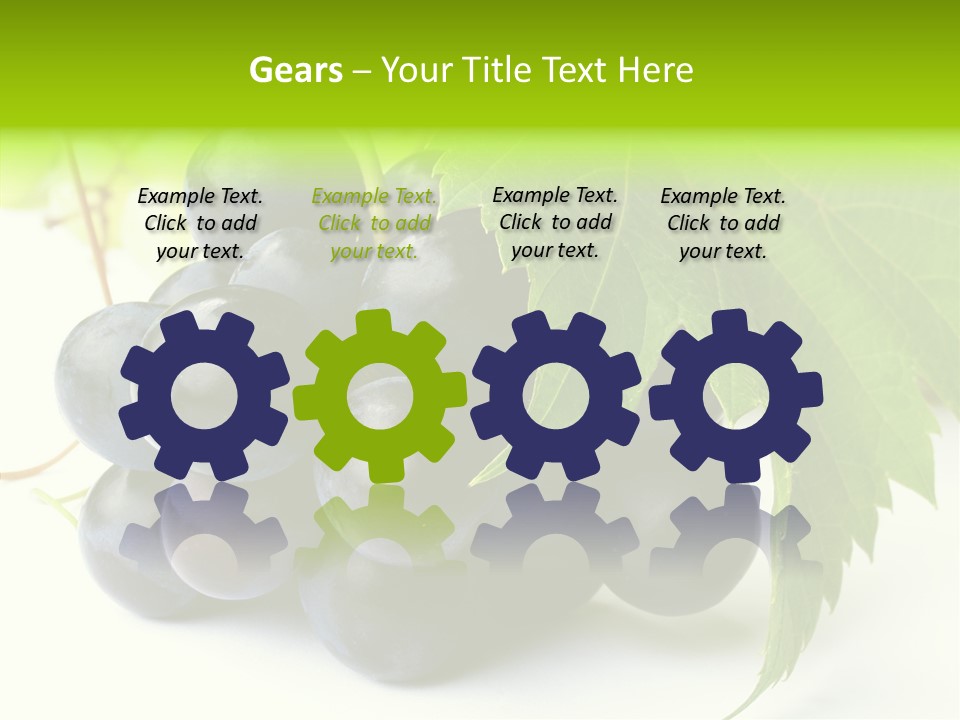 Wineyard Agriculture Close Up PowerPoint Template