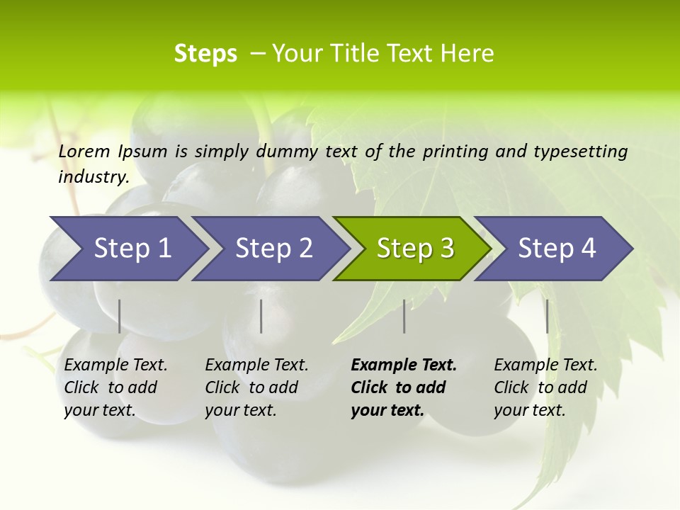 Wineyard Agriculture Close Up PowerPoint Template