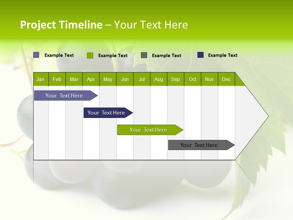 Wineyard Agriculture Close Up PowerPoint Template