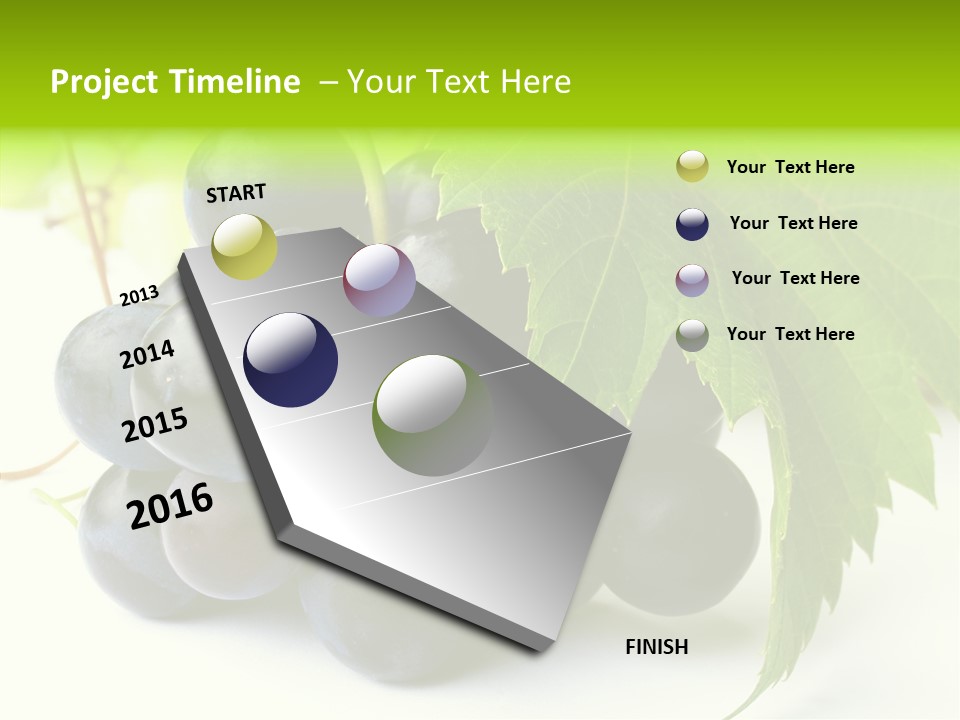 Wineyard Agriculture Close Up PowerPoint Template