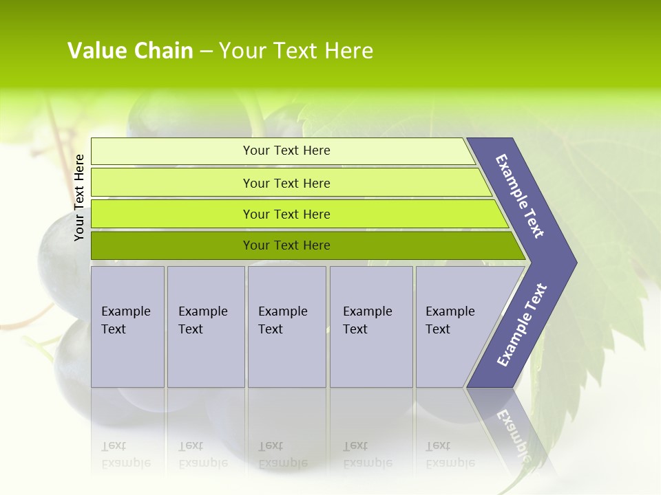 Wineyard Agriculture Close Up PowerPoint Template