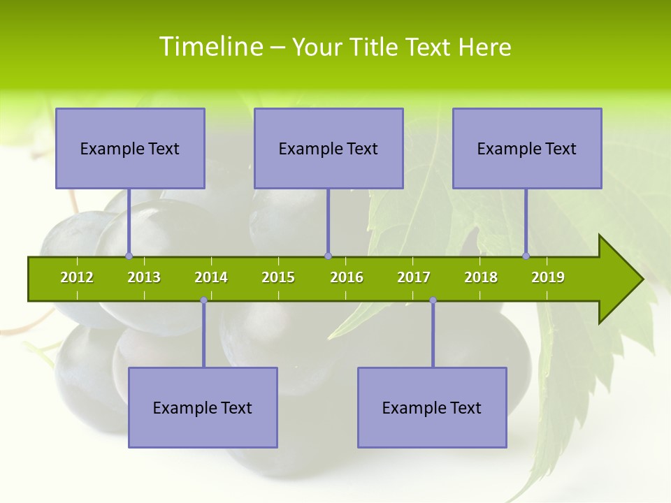 Wineyard Agriculture Close Up PowerPoint Template