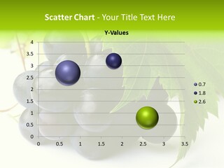 Wineyard Agriculture Close Up PowerPoint Template