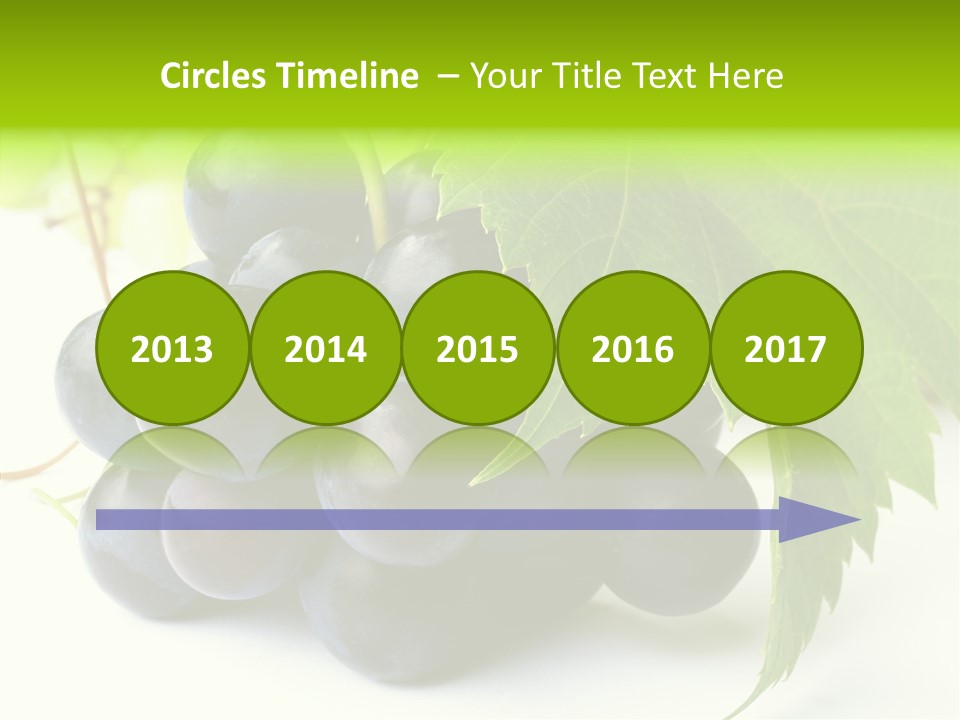 Wineyard Agriculture Close Up PowerPoint Template