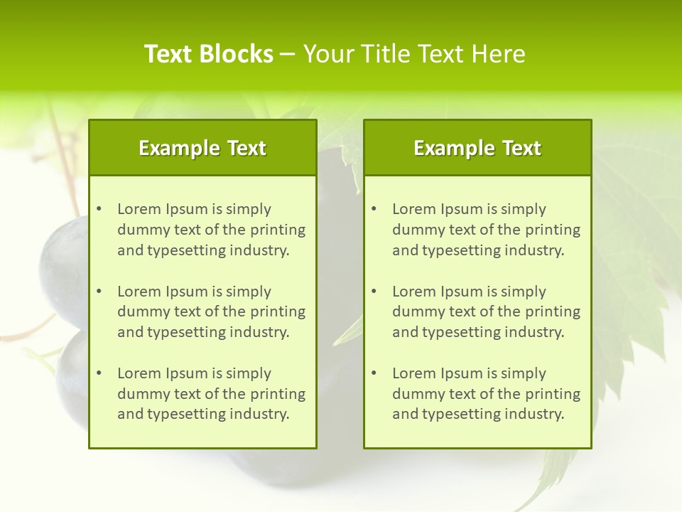 Wineyard Agriculture Close Up PowerPoint Template