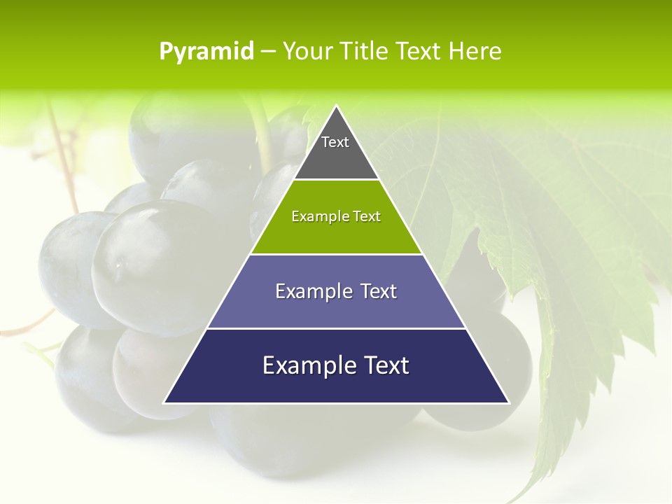 Wineyard Agriculture Close Up PowerPoint Template