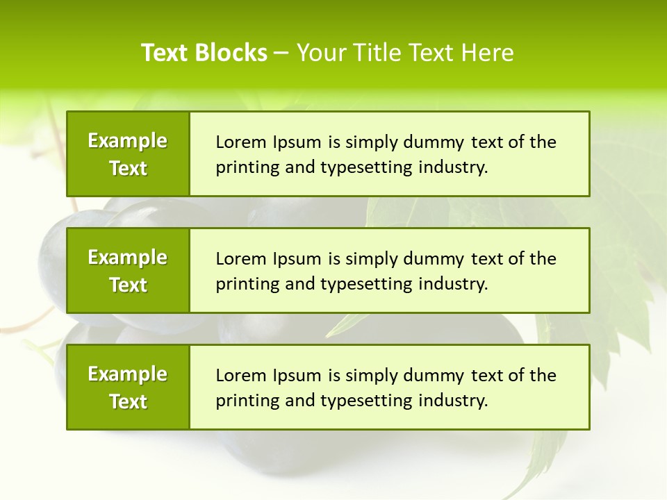 Wineyard Agriculture Close Up PowerPoint Template