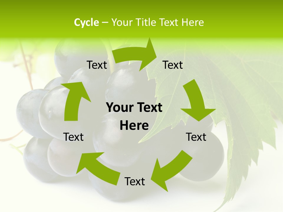 Wineyard Agriculture Close Up PowerPoint Template