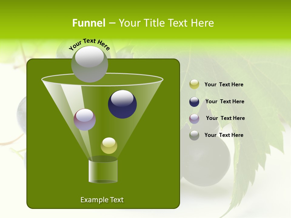 Wineyard Agriculture Close Up PowerPoint Template