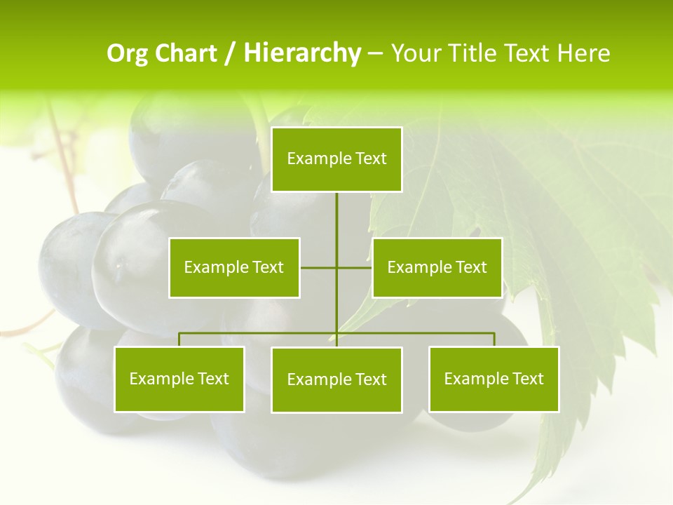 Wineyard Agriculture Close Up PowerPoint Template