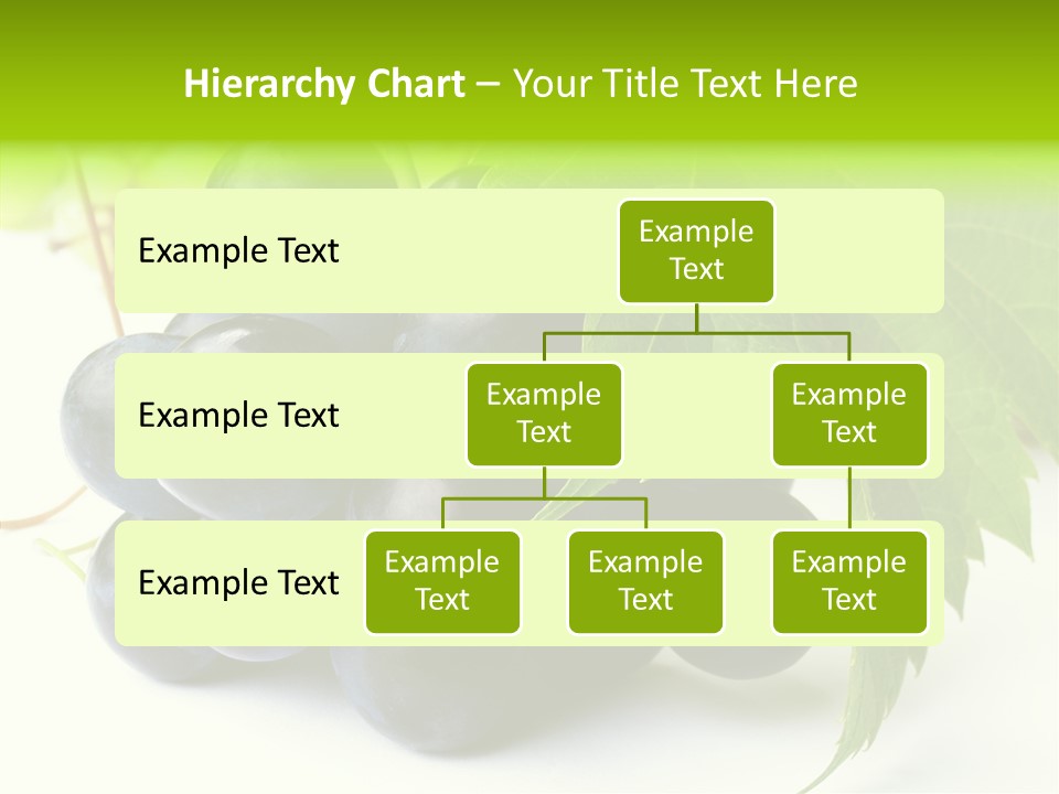 Wineyard Agriculture Close Up PowerPoint Template