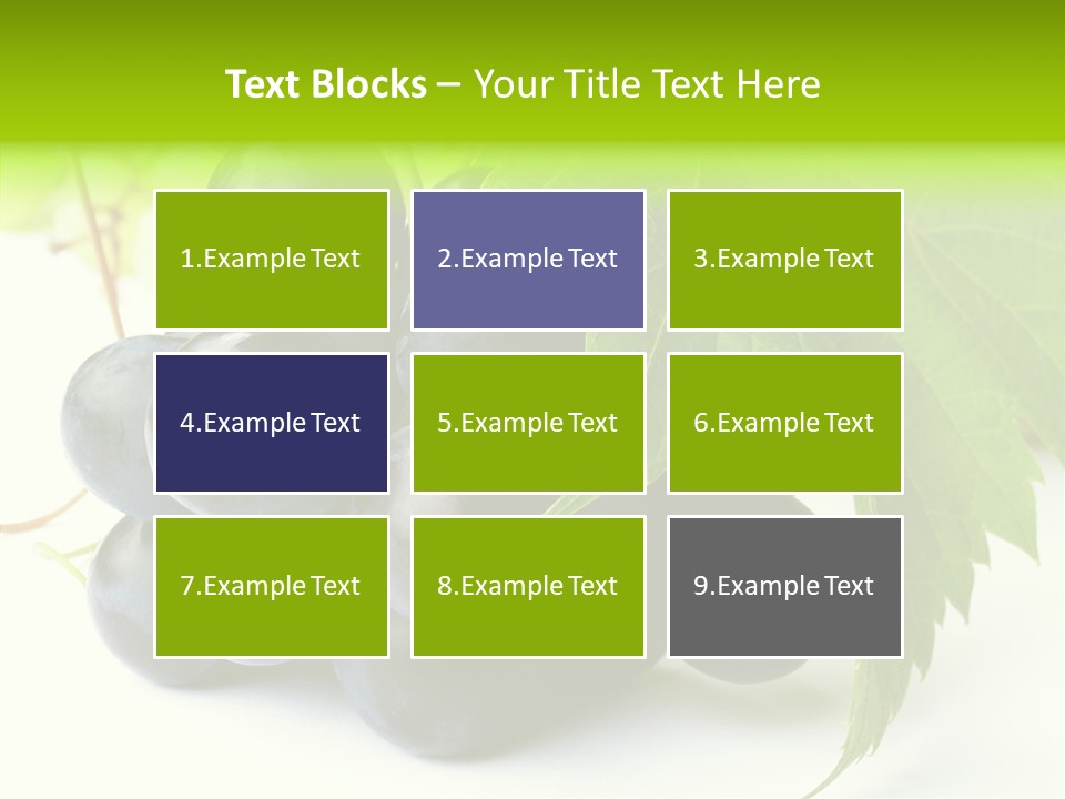 Wineyard Agriculture Close Up PowerPoint Template