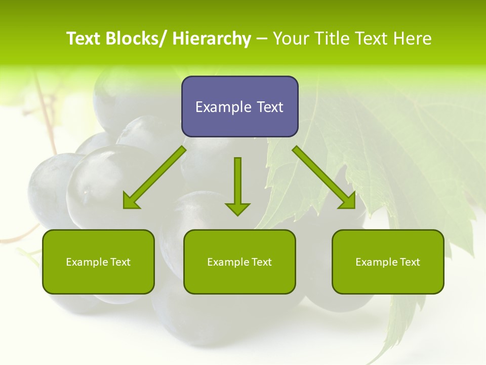 Wineyard Agriculture Close Up PowerPoint Template