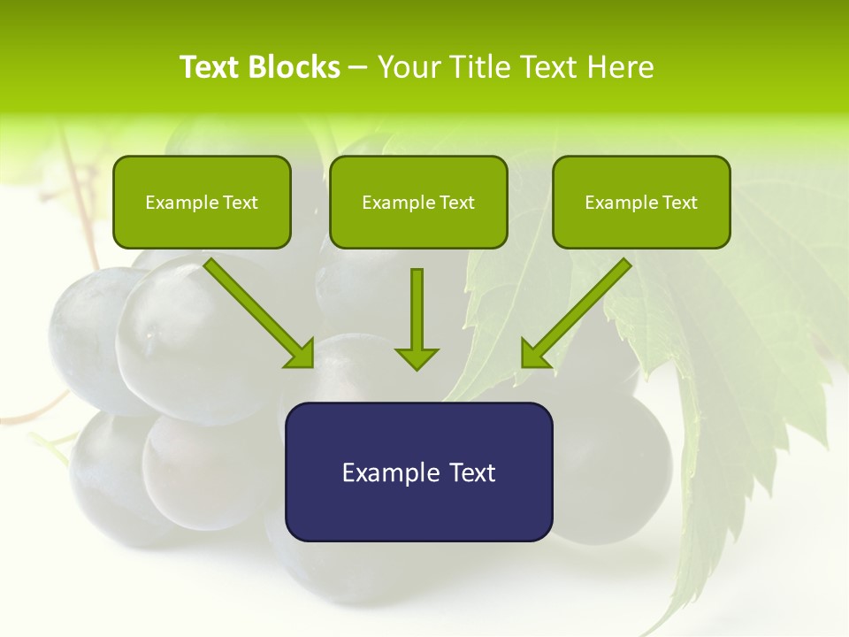 Wineyard Agriculture Close Up PowerPoint Template