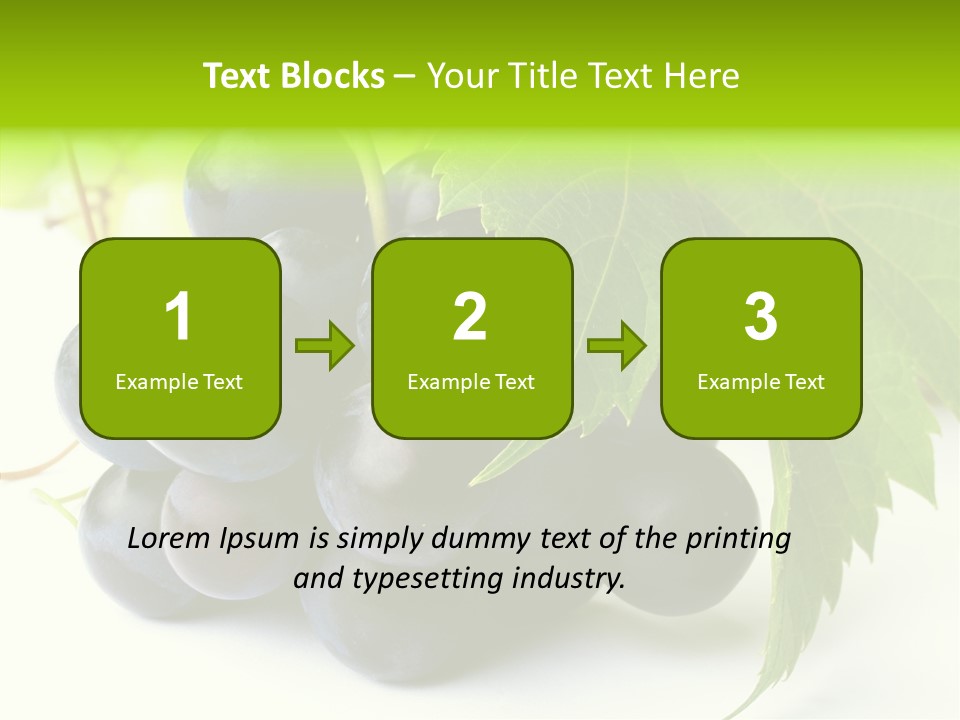 Wineyard Agriculture Close Up PowerPoint Template