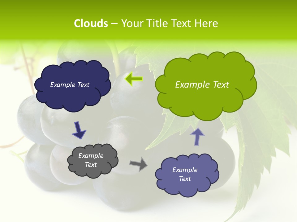 Wineyard Agriculture Close Up PowerPoint Template