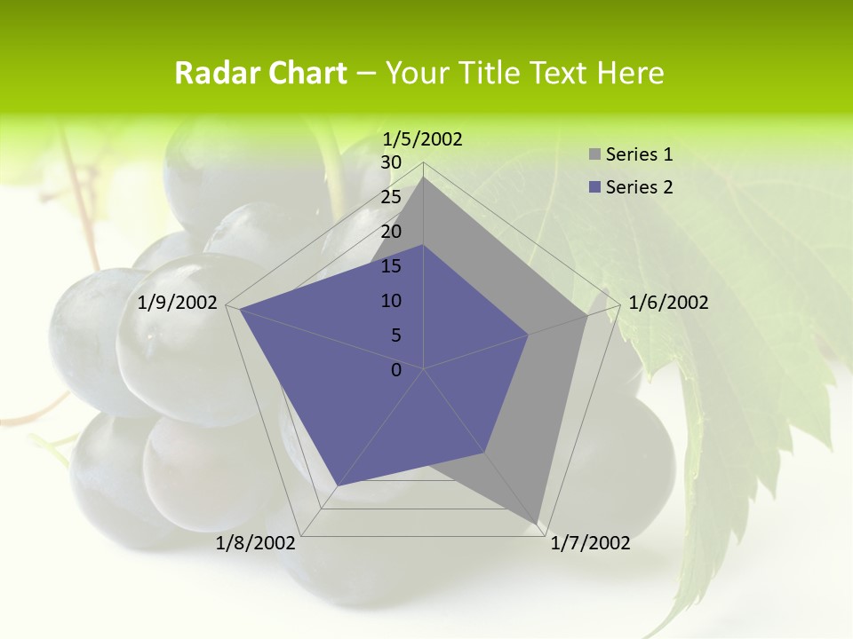 Wineyard Agriculture Close Up PowerPoint Template