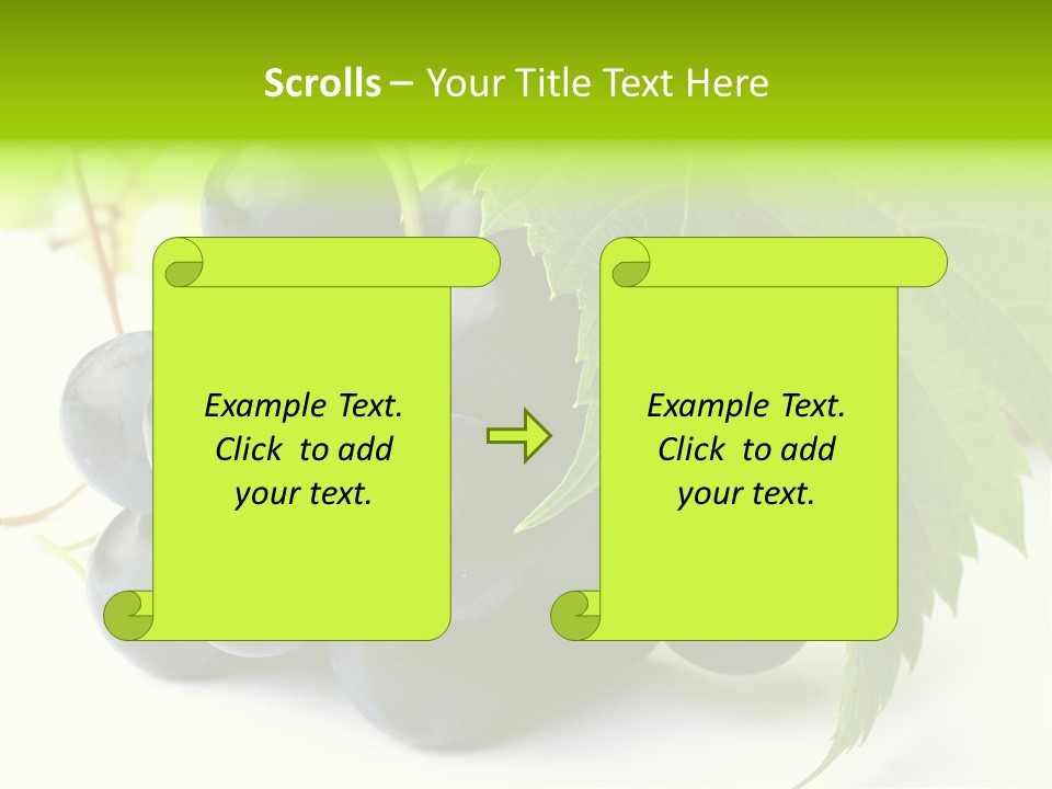 Wineyard Agriculture Close Up PowerPoint Template