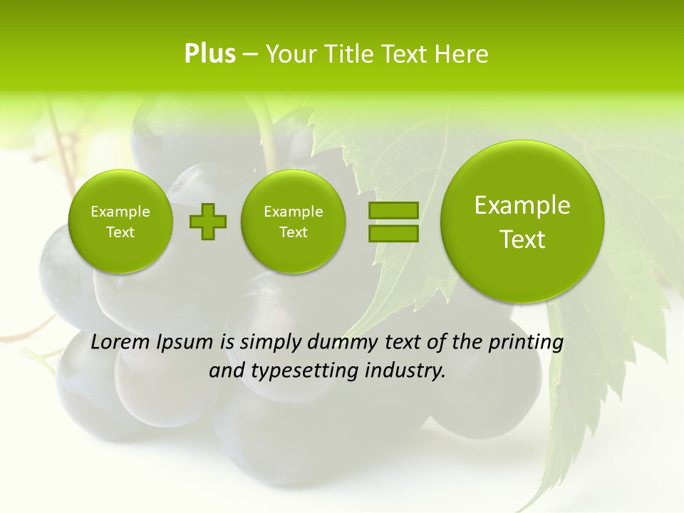 Wineyard Agriculture Close Up PowerPoint Template