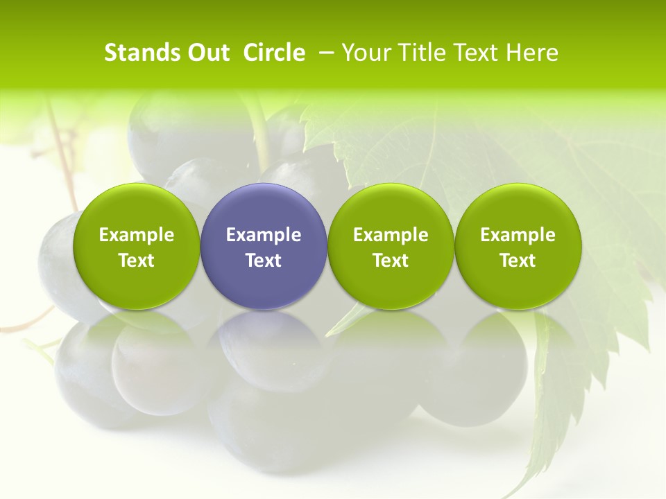 Wineyard Agriculture Close Up PowerPoint Template