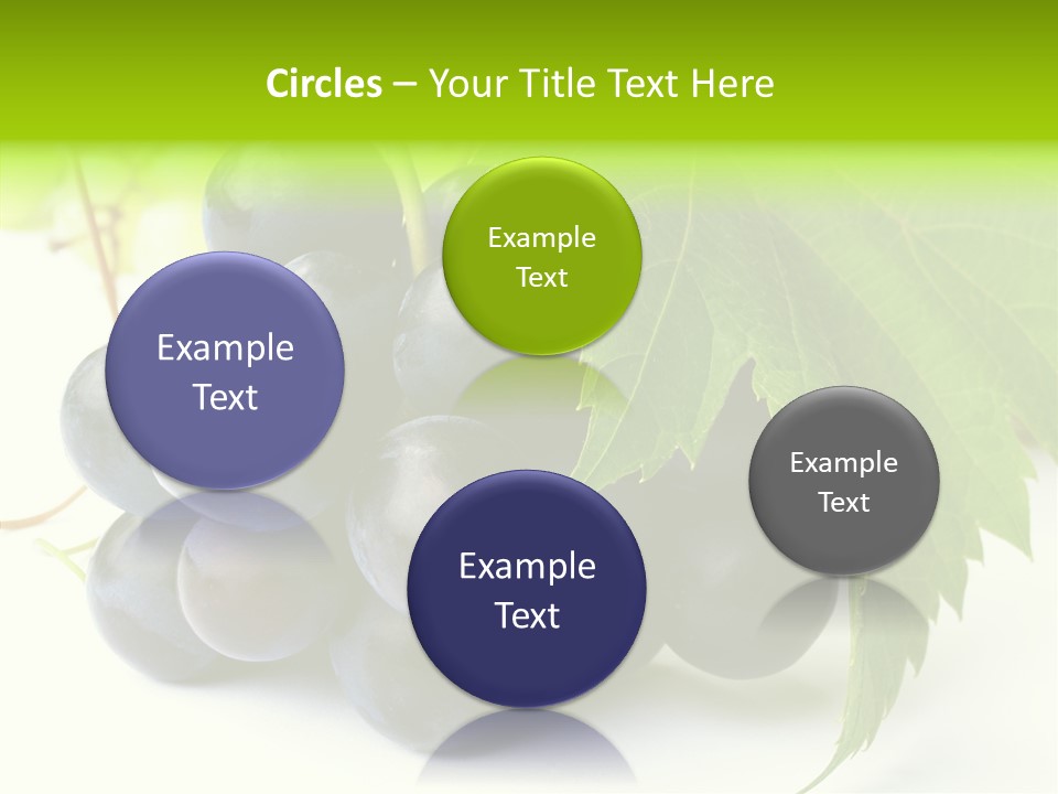 Wineyard Agriculture Close Up PowerPoint Template