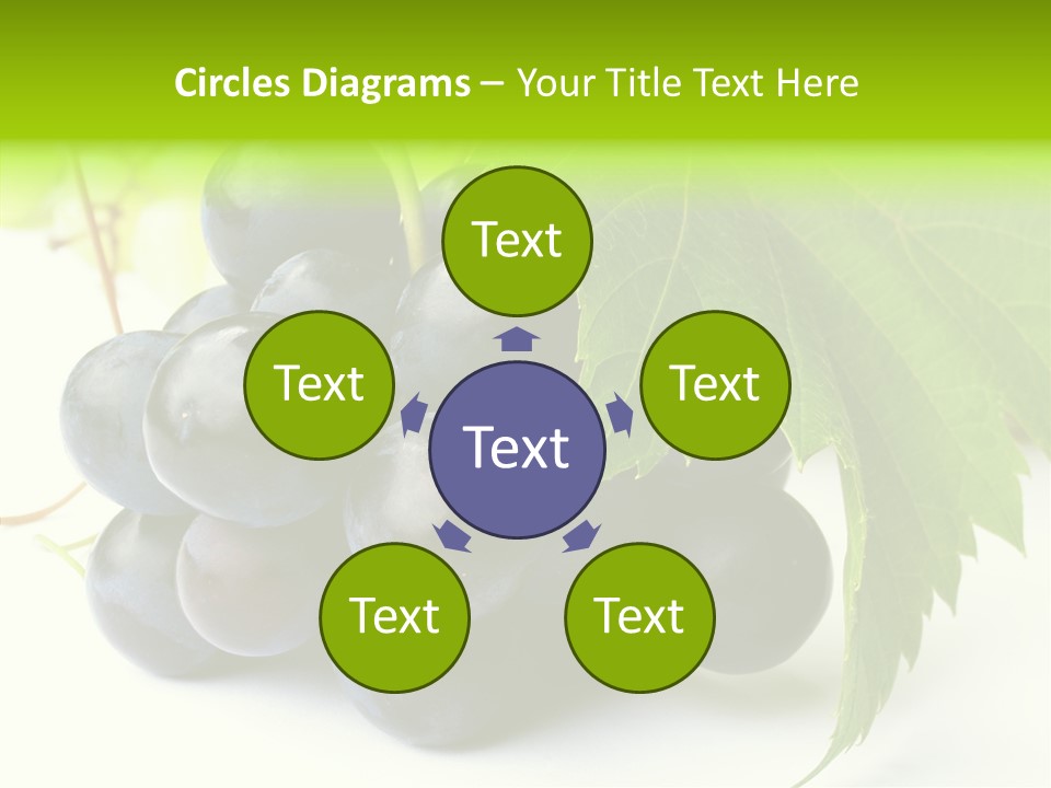 Wineyard Agriculture Close Up PowerPoint Template