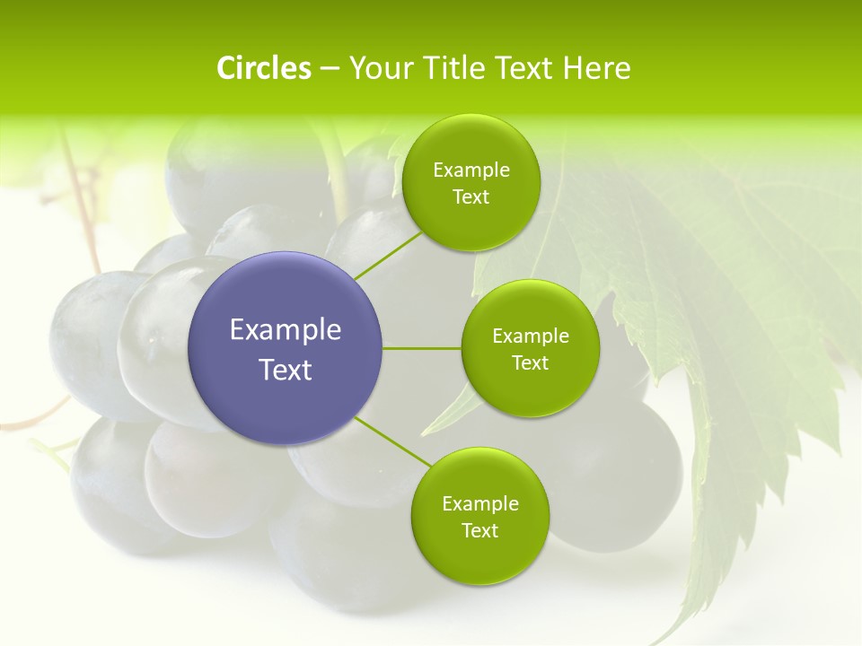 Wineyard Agriculture Close Up PowerPoint Template