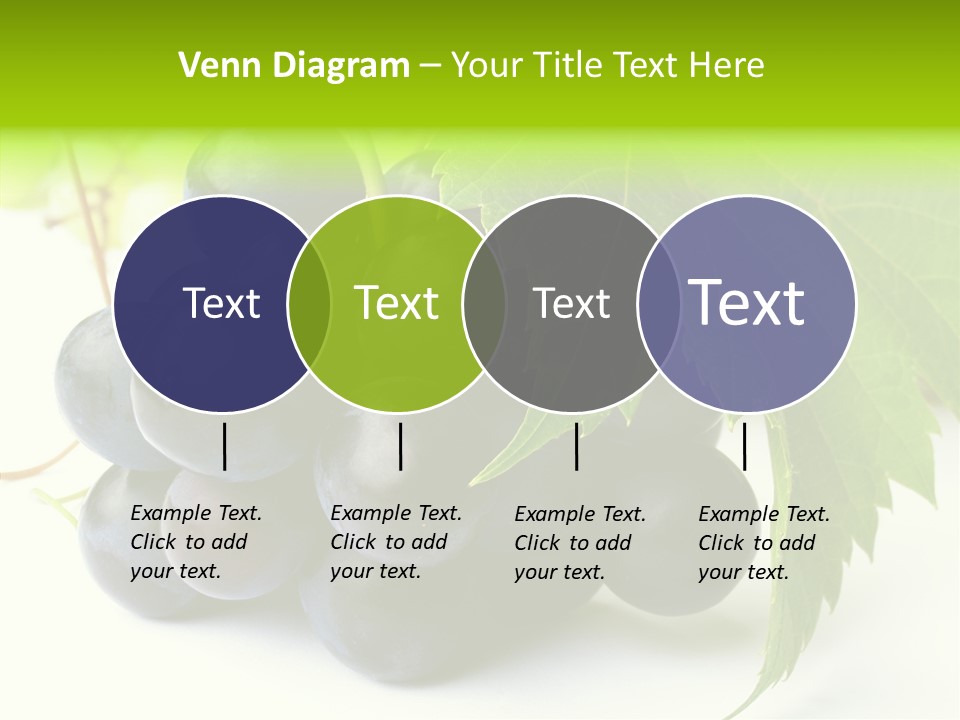 Wineyard Agriculture Close Up PowerPoint Template