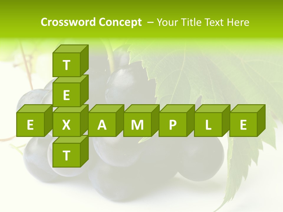 Wineyard Agriculture Close Up PowerPoint Template