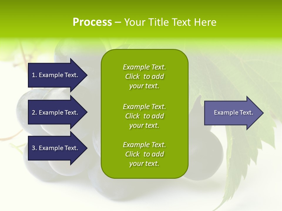 Wineyard Agriculture Close Up PowerPoint Template