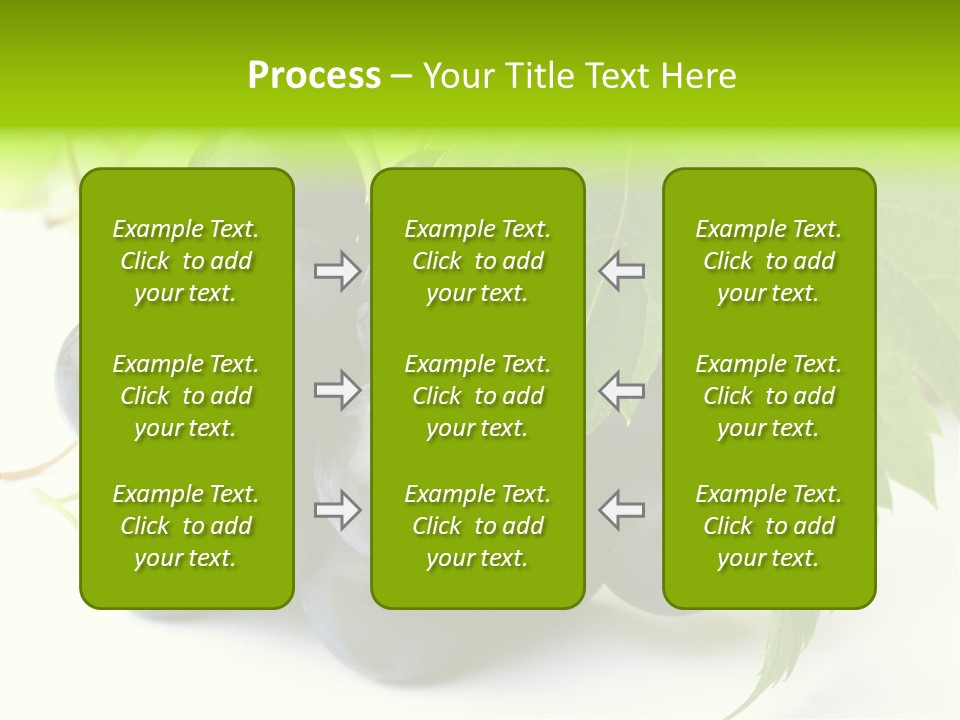 Wineyard Agriculture Close Up PowerPoint Template