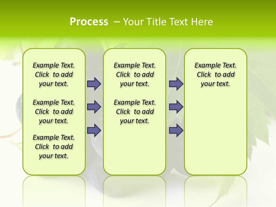 Wineyard Agriculture Close Up PowerPoint Template
