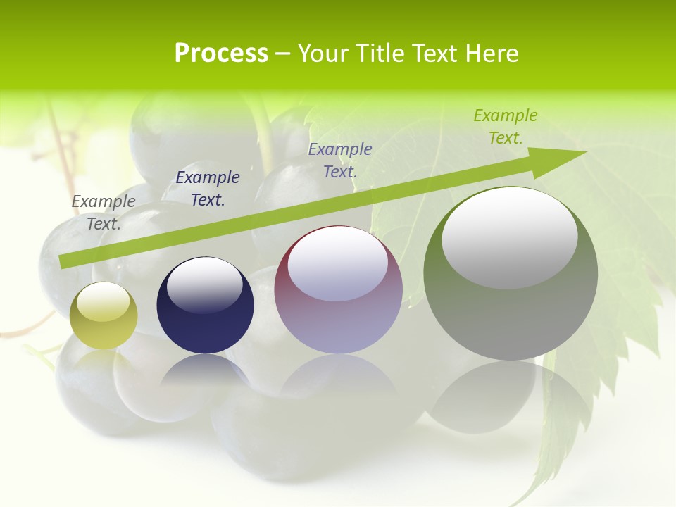 Wineyard Agriculture Close Up PowerPoint Template