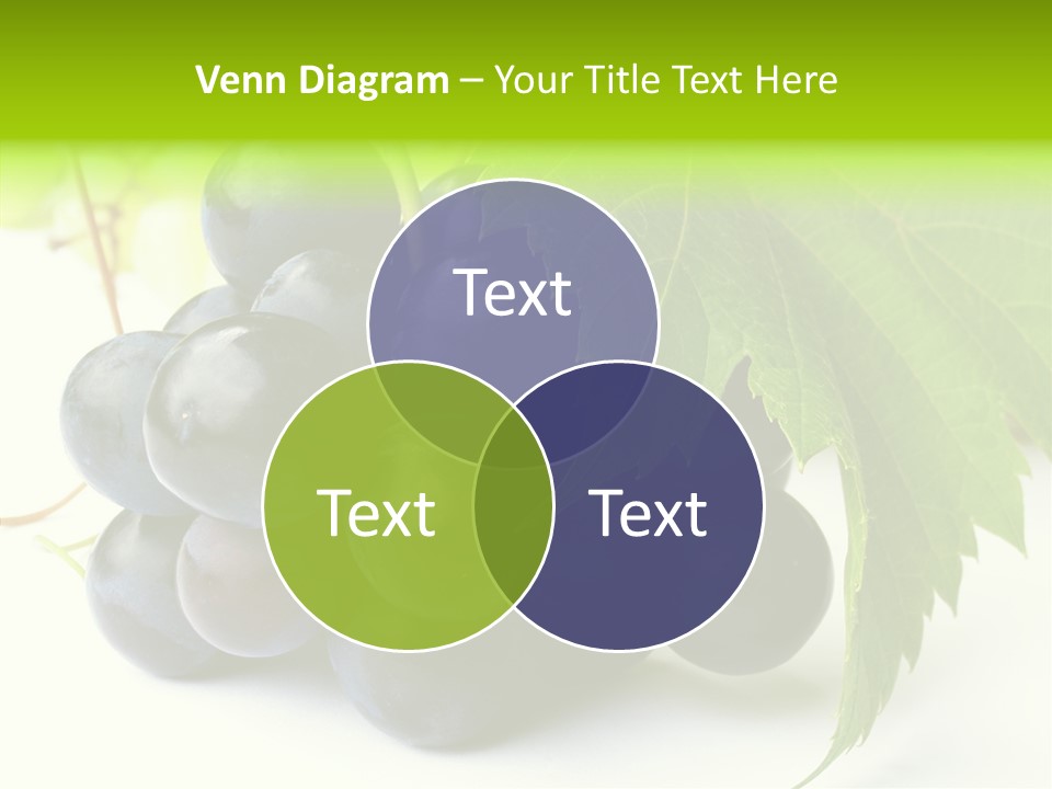 Wineyard Agriculture Close Up PowerPoint Template