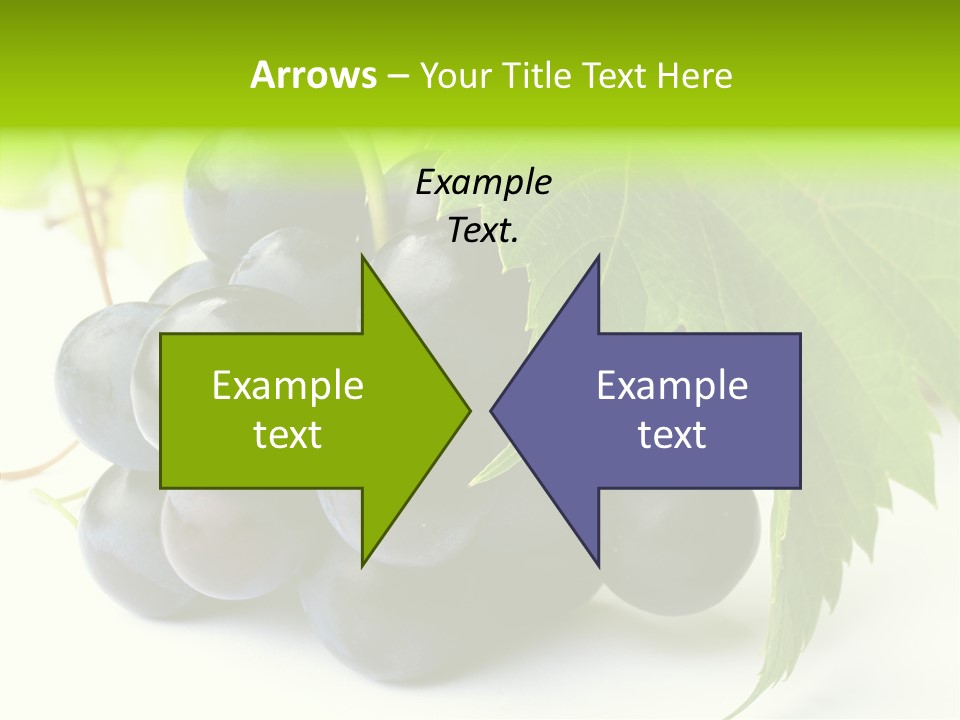 Wineyard Agriculture Close Up PowerPoint Template