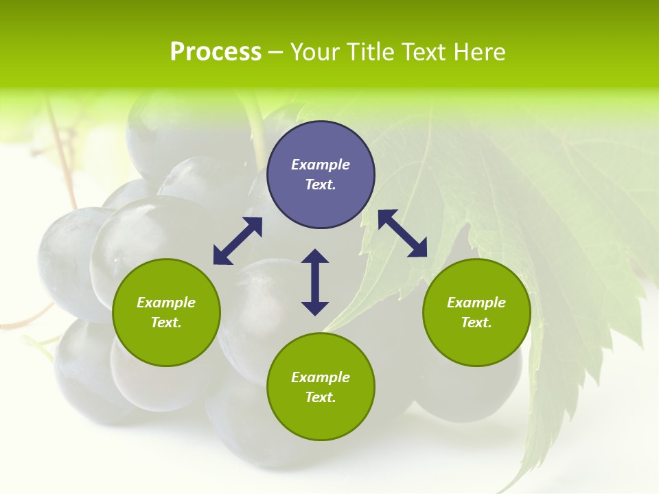 Wineyard Agriculture Close Up PowerPoint Template