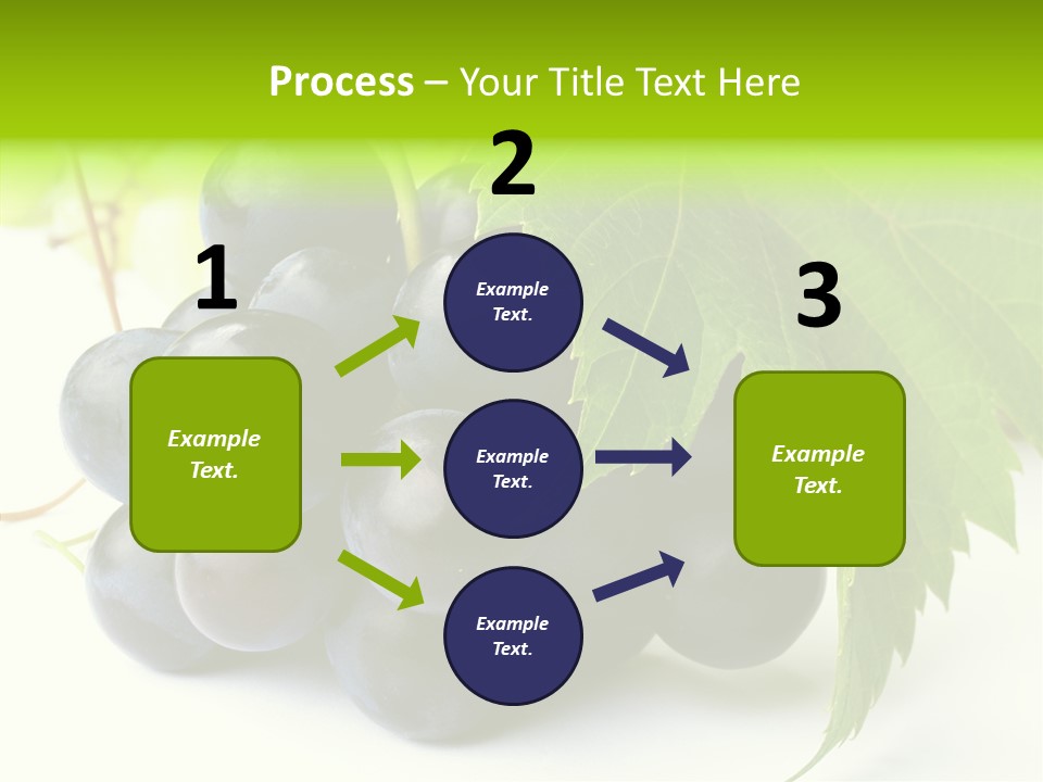 Wineyard Agriculture Close Up PowerPoint Template