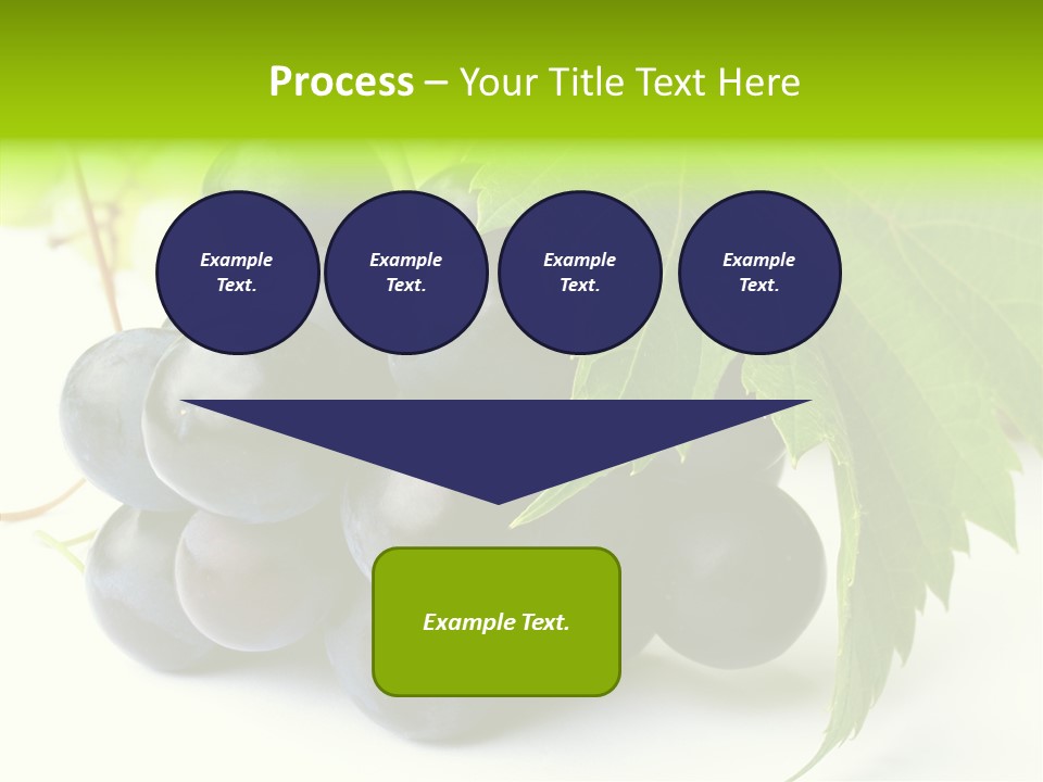 Wineyard Agriculture Close Up PowerPoint Template